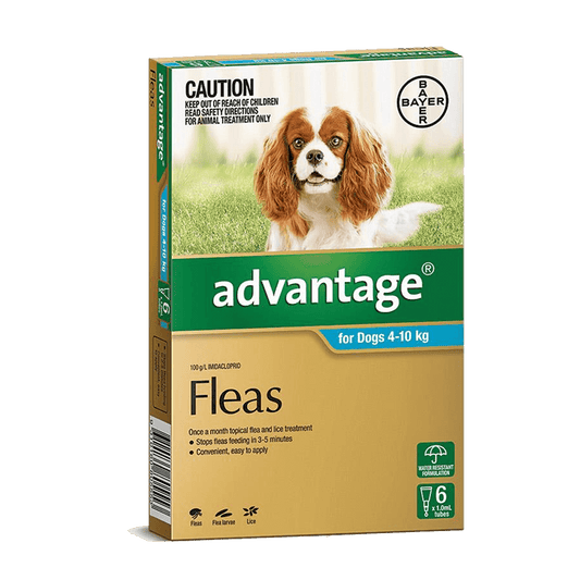 Advantage – Fleas