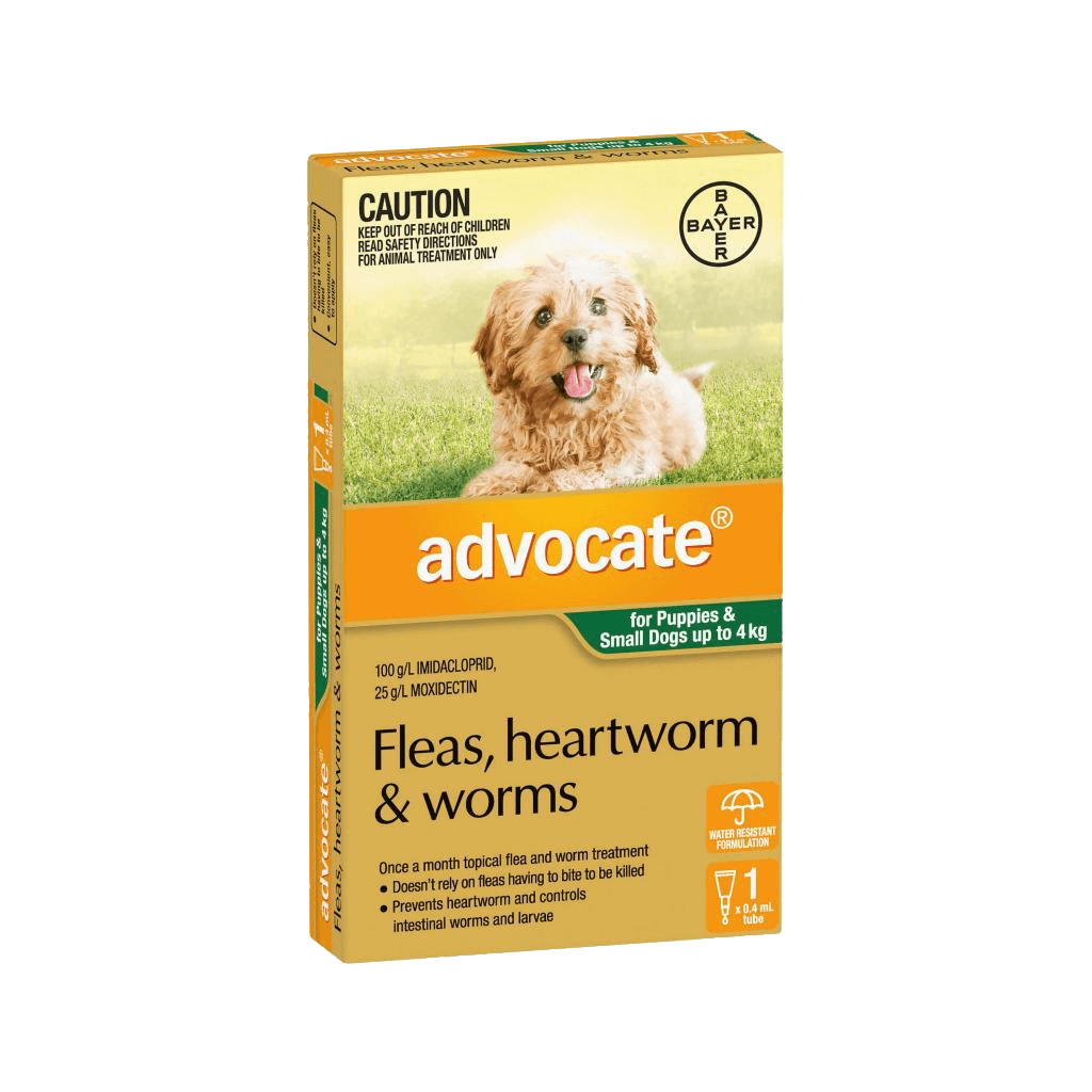 Advocate Flea and Worms