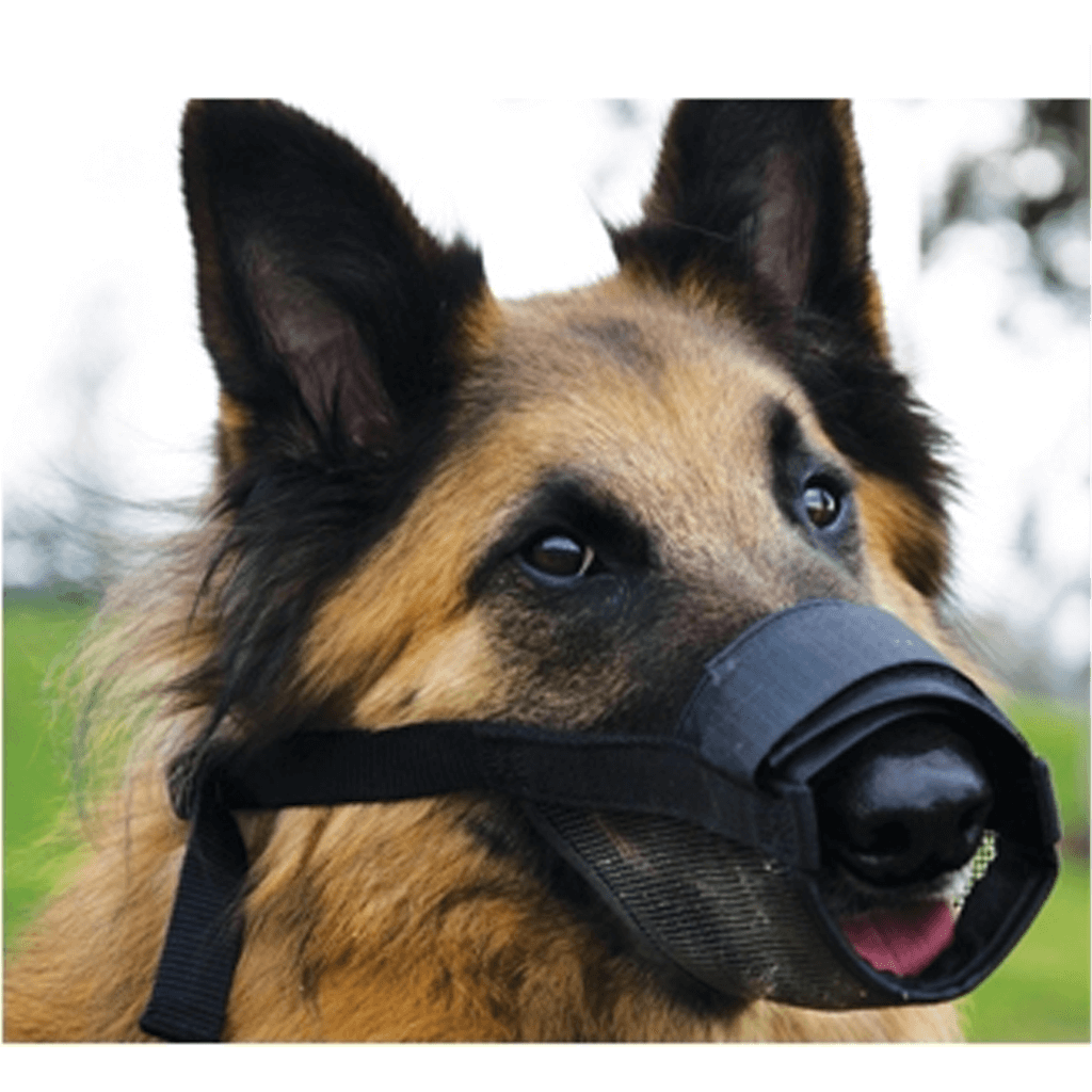 BeauPets Adjustable Dog Muzzle