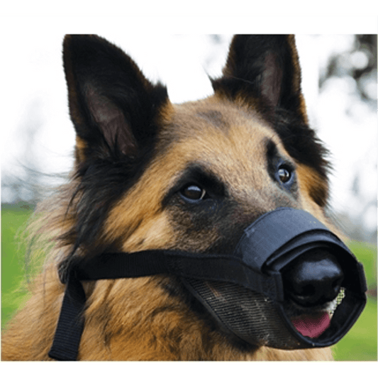 BeauPets Adjustable Dog Muzzle