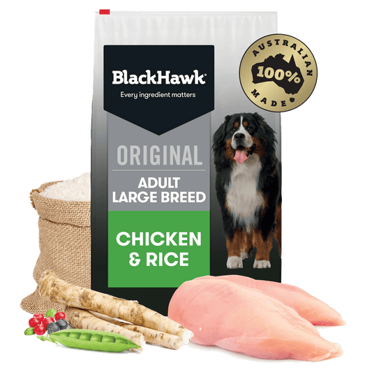Black Hawk Large Breed Chicken Dog Food