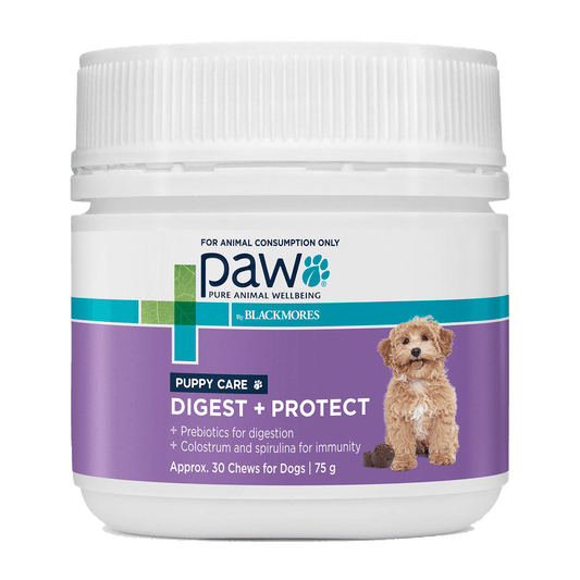 Paw – Digest + Protect – Chews for Puppies