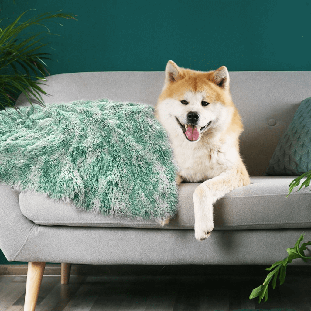 Dog Blanket