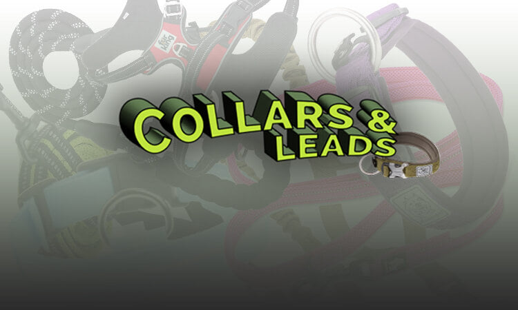 Dog Collars and Leads
