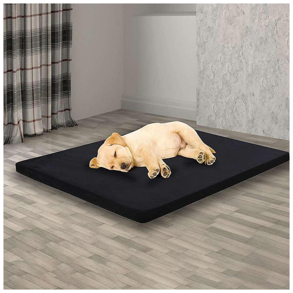 Memory Foam Dog Bed Large
