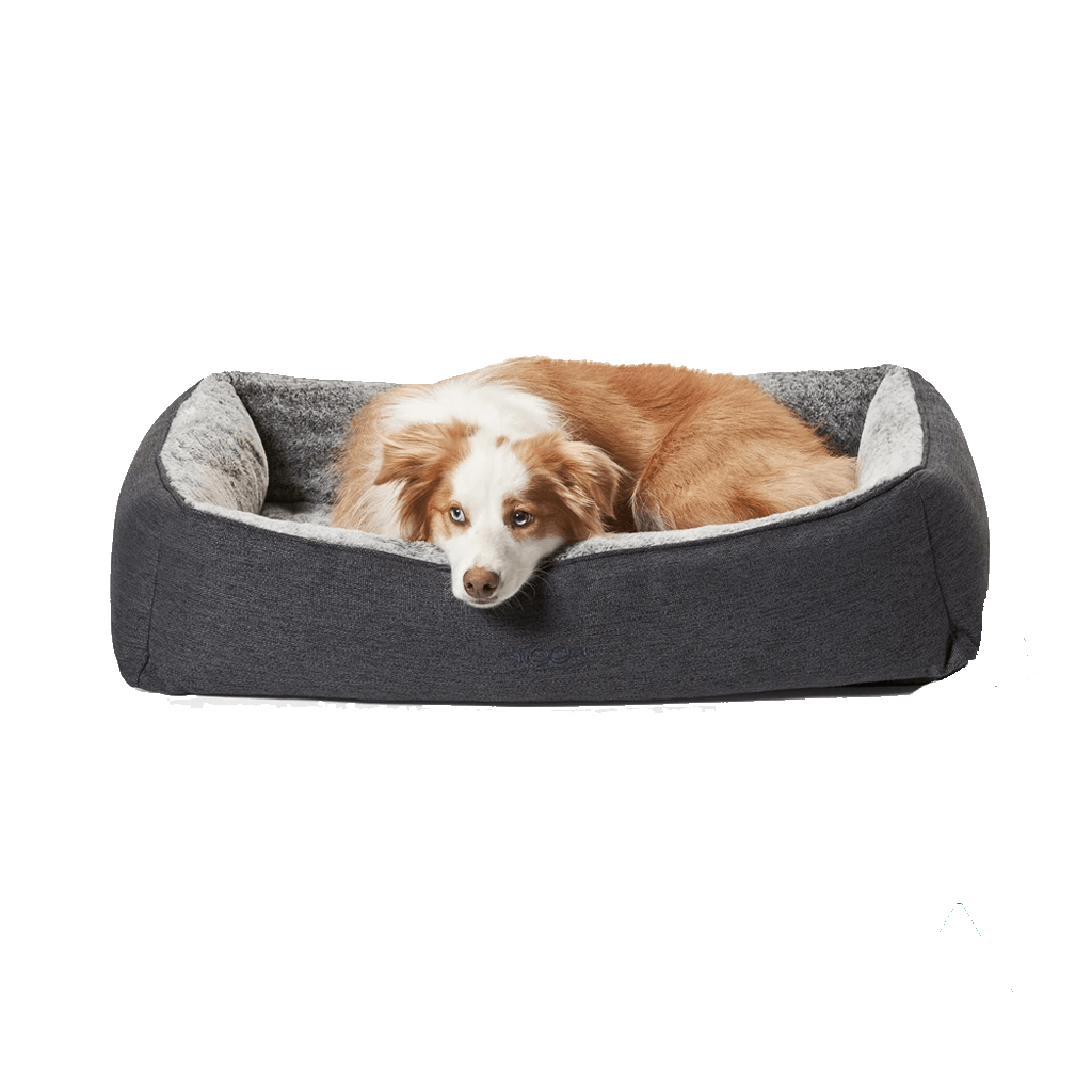 Ortho Snuggler Dog Bed