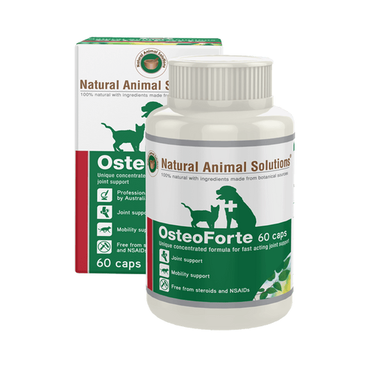 Osteoforte joint support