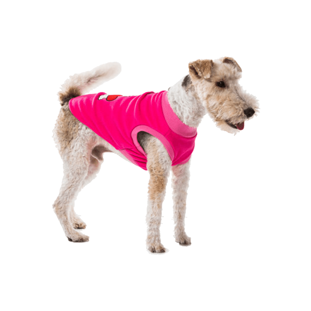 Puppy Heart Pink Dog Pyjamas