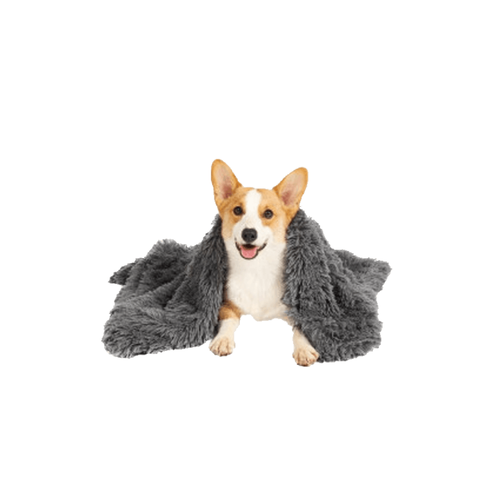 Plush Dog Blanket