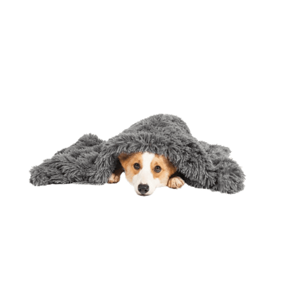 Plush Dog Blanket