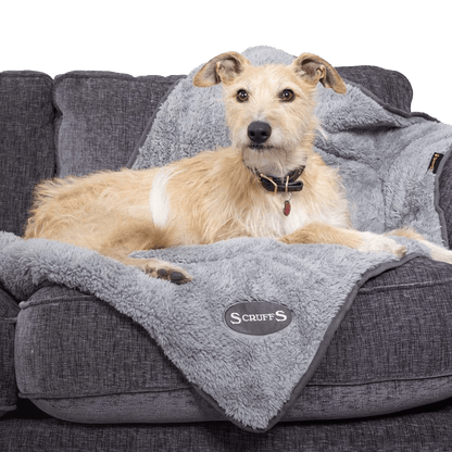 Cozy Blanket - Grey - Scruffs