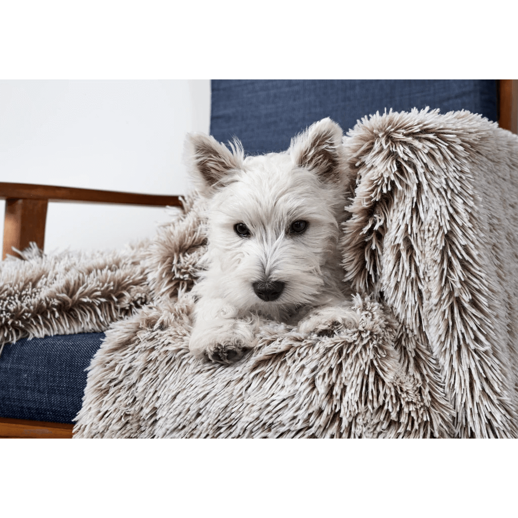 Snooza Cuddler Dog Blanket