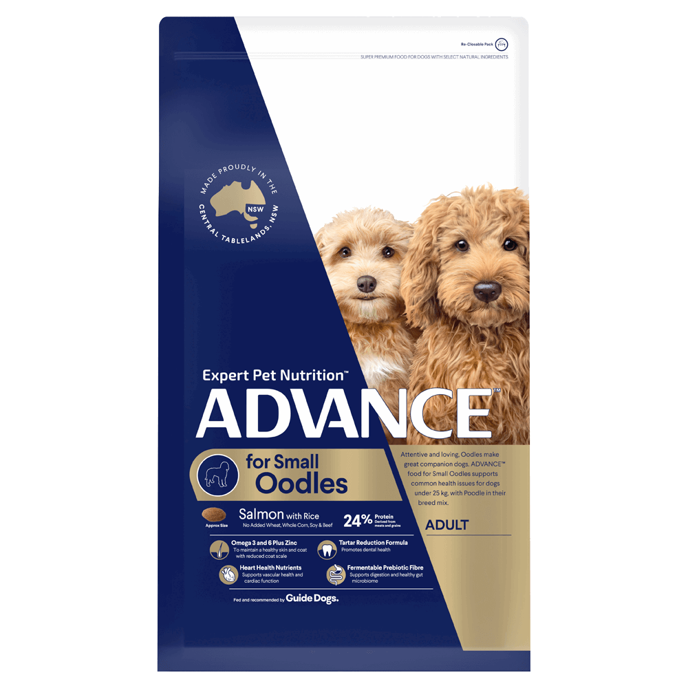 Advance – Adult Dog – Small Oodles