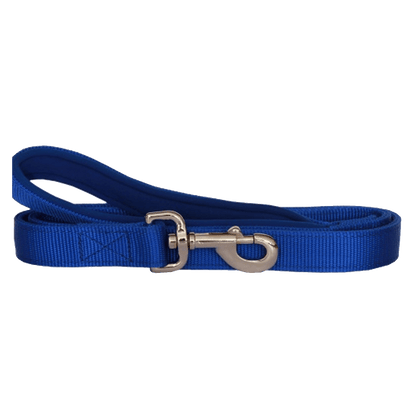 Nylon and Neoprene Dog Lead - Blue