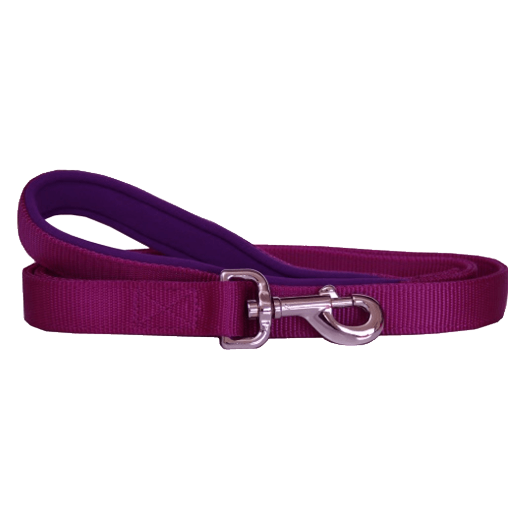 Nylon and Neoprene Dog Lead - Purple