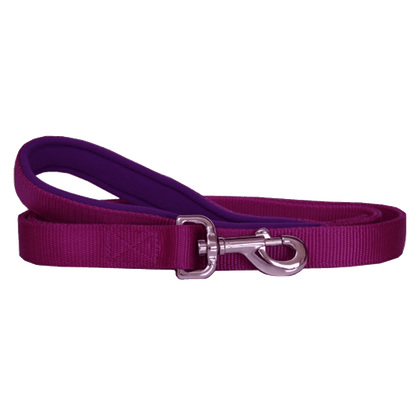 Nylon and Neoprene Dog Lead - Purple