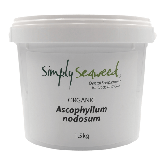Simply Seaweed Natural Dental Health Care