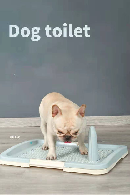 Medium Portable Dog Potty Training Tray - Blue