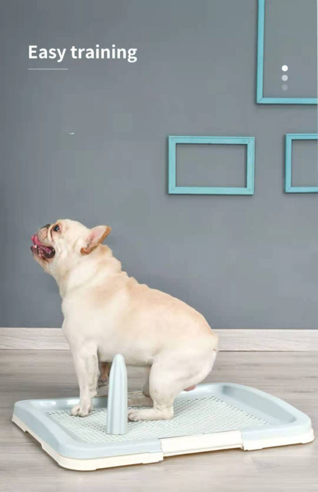 Medium Portable Dog Potty Training Tray - Blue